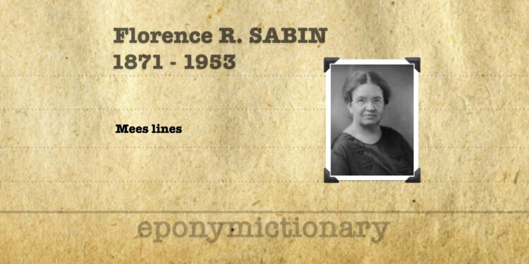 florence sabin feet 2