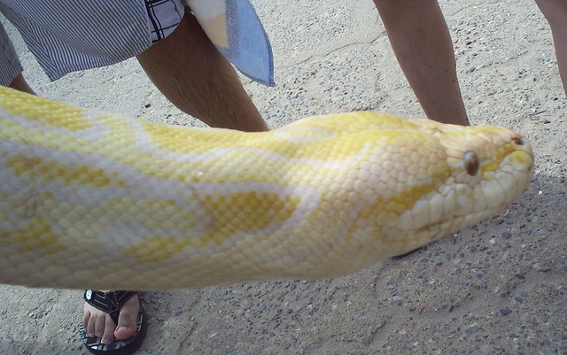 francisco pena feet 1