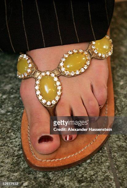 franziska van almsick feet 3