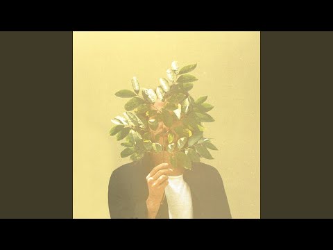 french kiwi juice feet 5