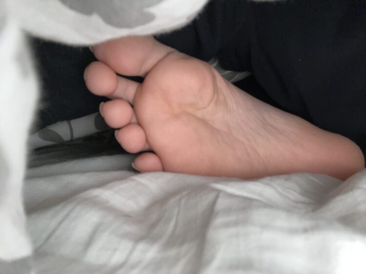 gabby male feet scaled
