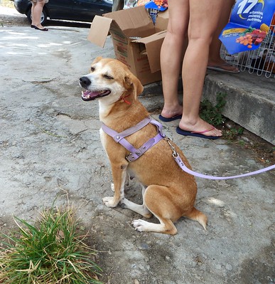 gabriela gomes feet 5