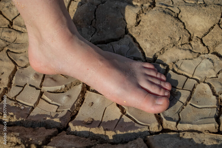 gabriela kuczynska feet 3
