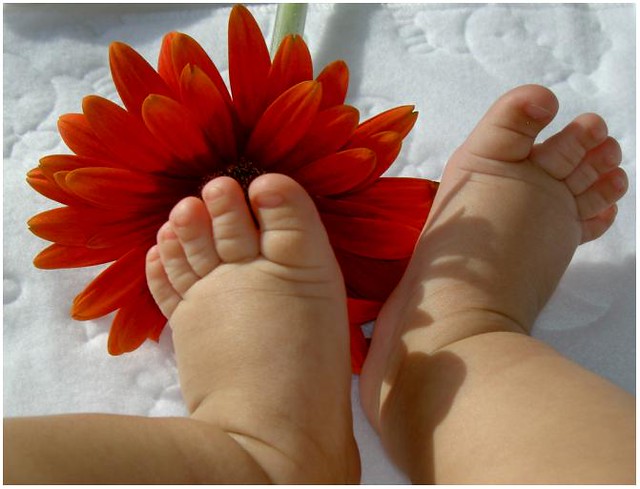 gabrielle flowers feet 3