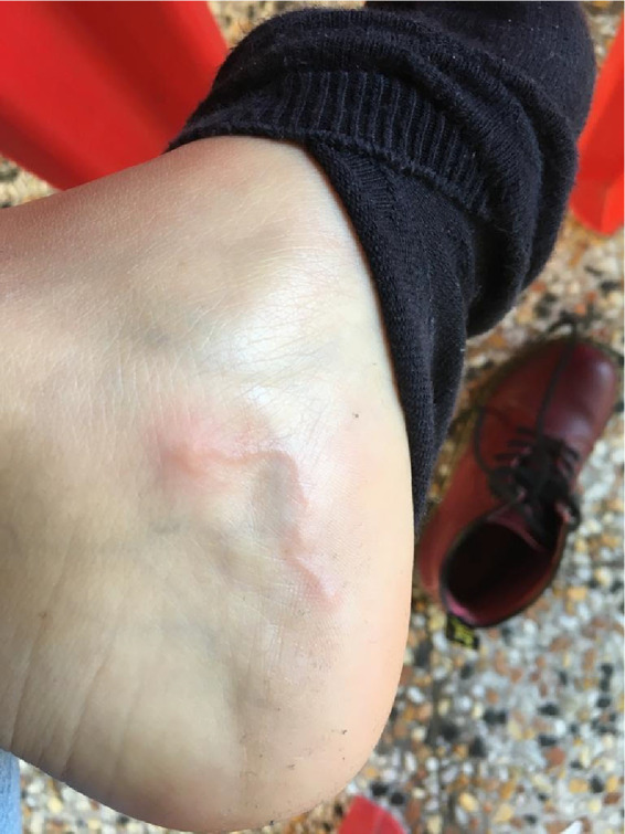 gabrielli diniz feet 6