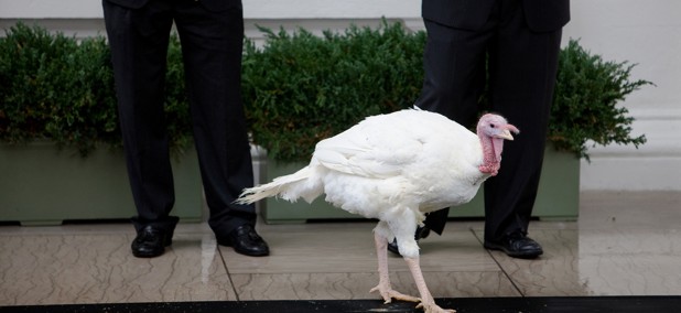 garance franke ruta feet