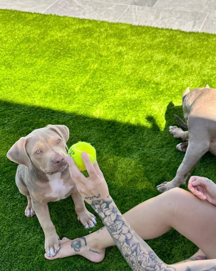 gemma collado feet 6