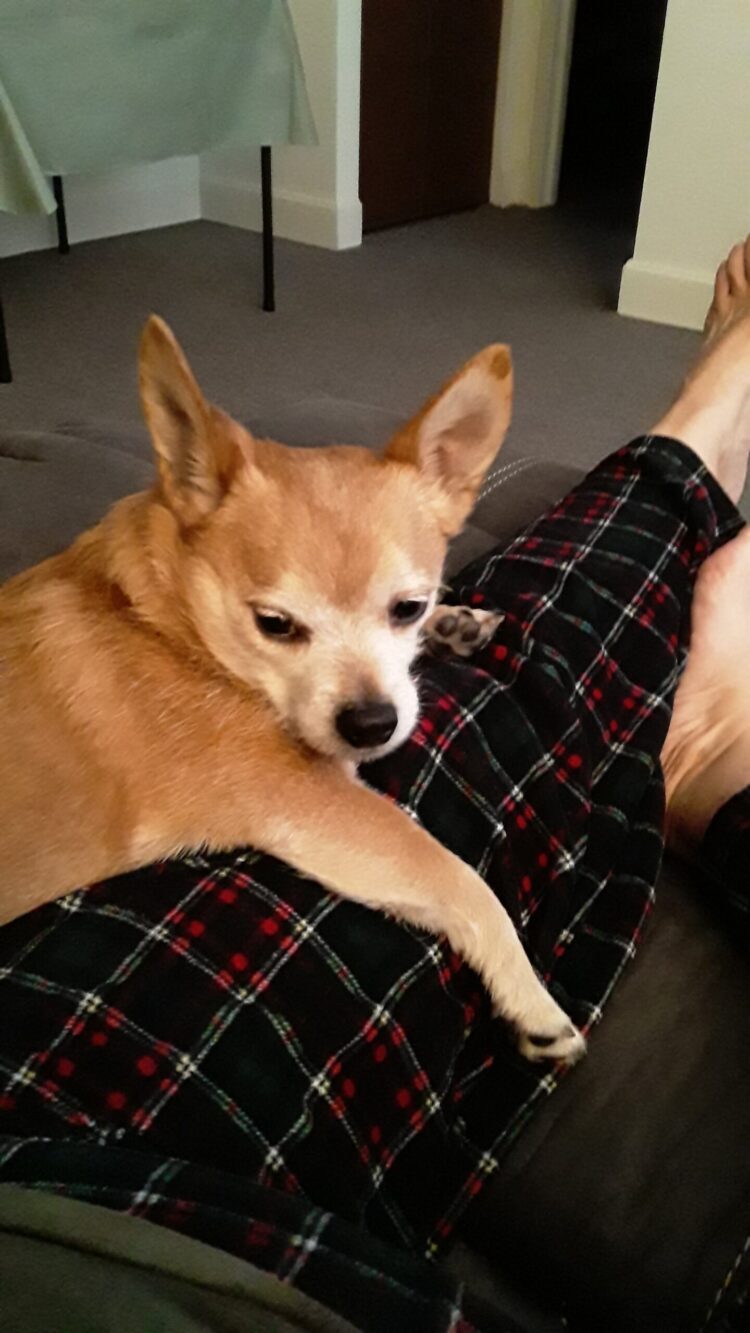 georgette sweet feet 6 scaled