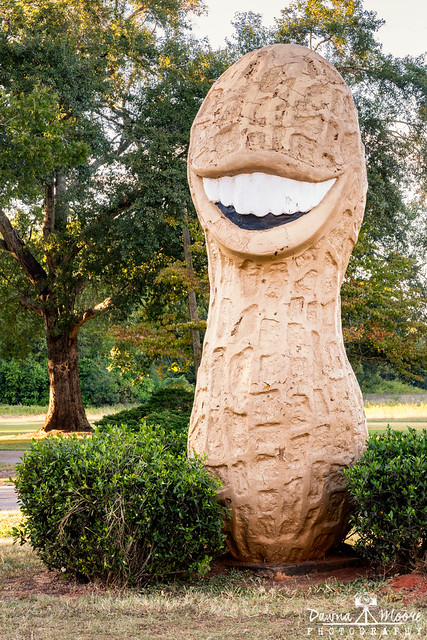 georgia carter feet 3