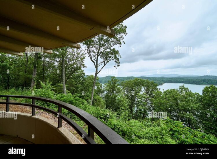 georgia carter feet 4