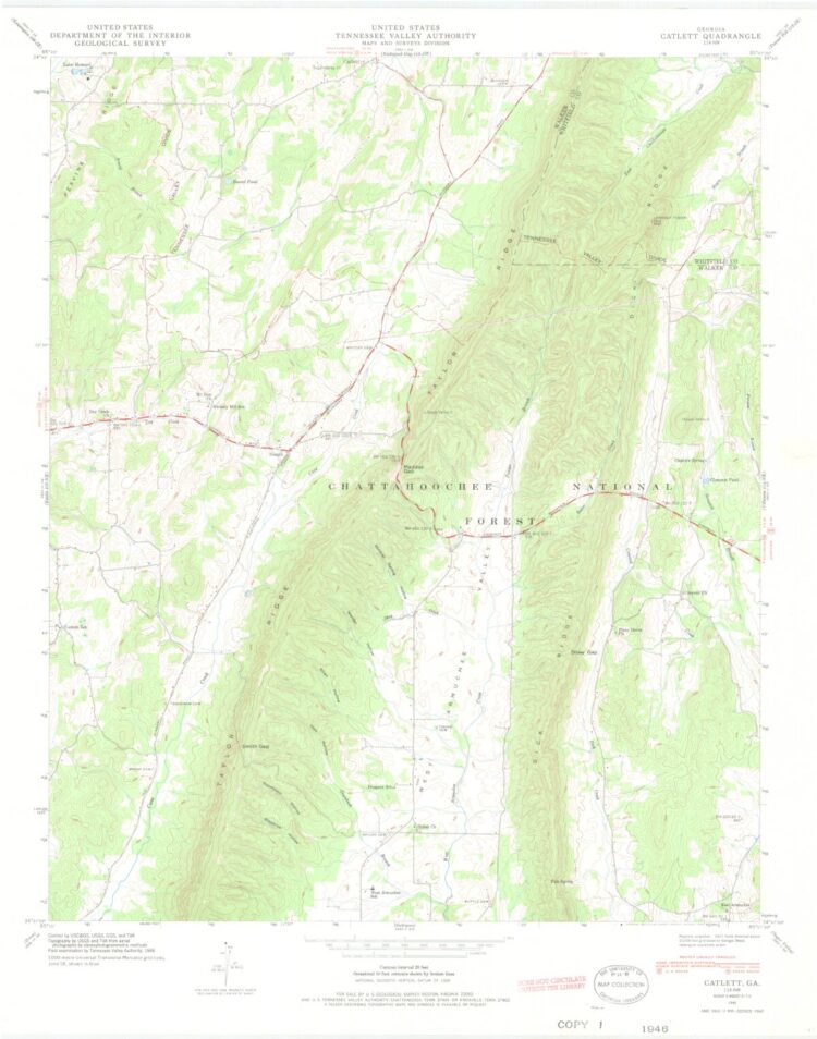 georgia catlett feet 1