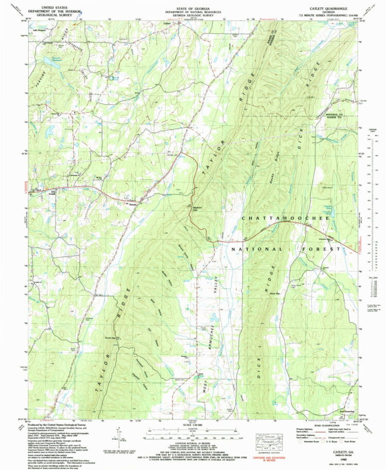 georgia catlett feet 2