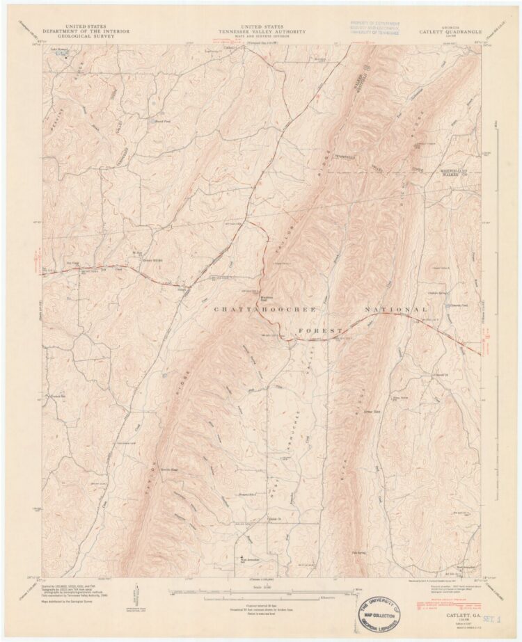 georgia catlett feet