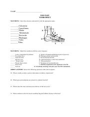 georgina moreno feet