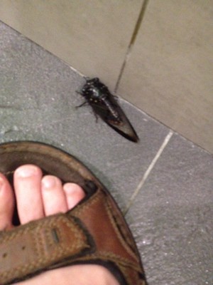 geraldine gan feet 1