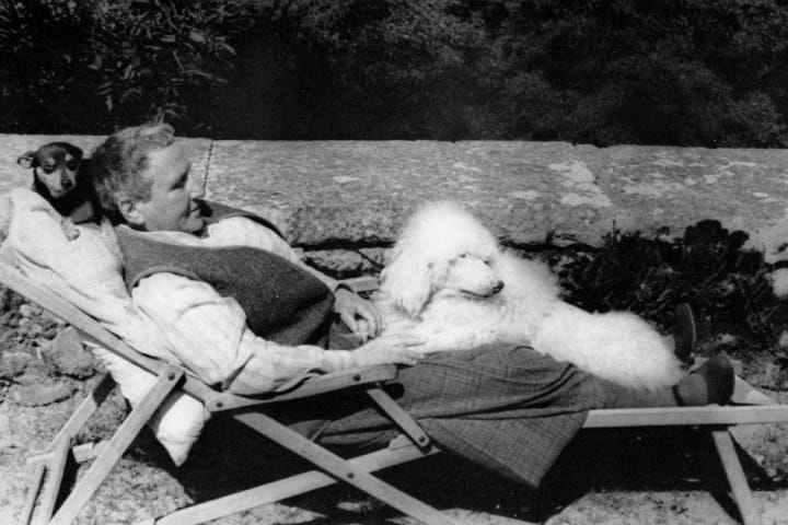 gertrude stein feet 1