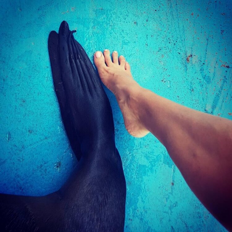 gessica notaro feet 1