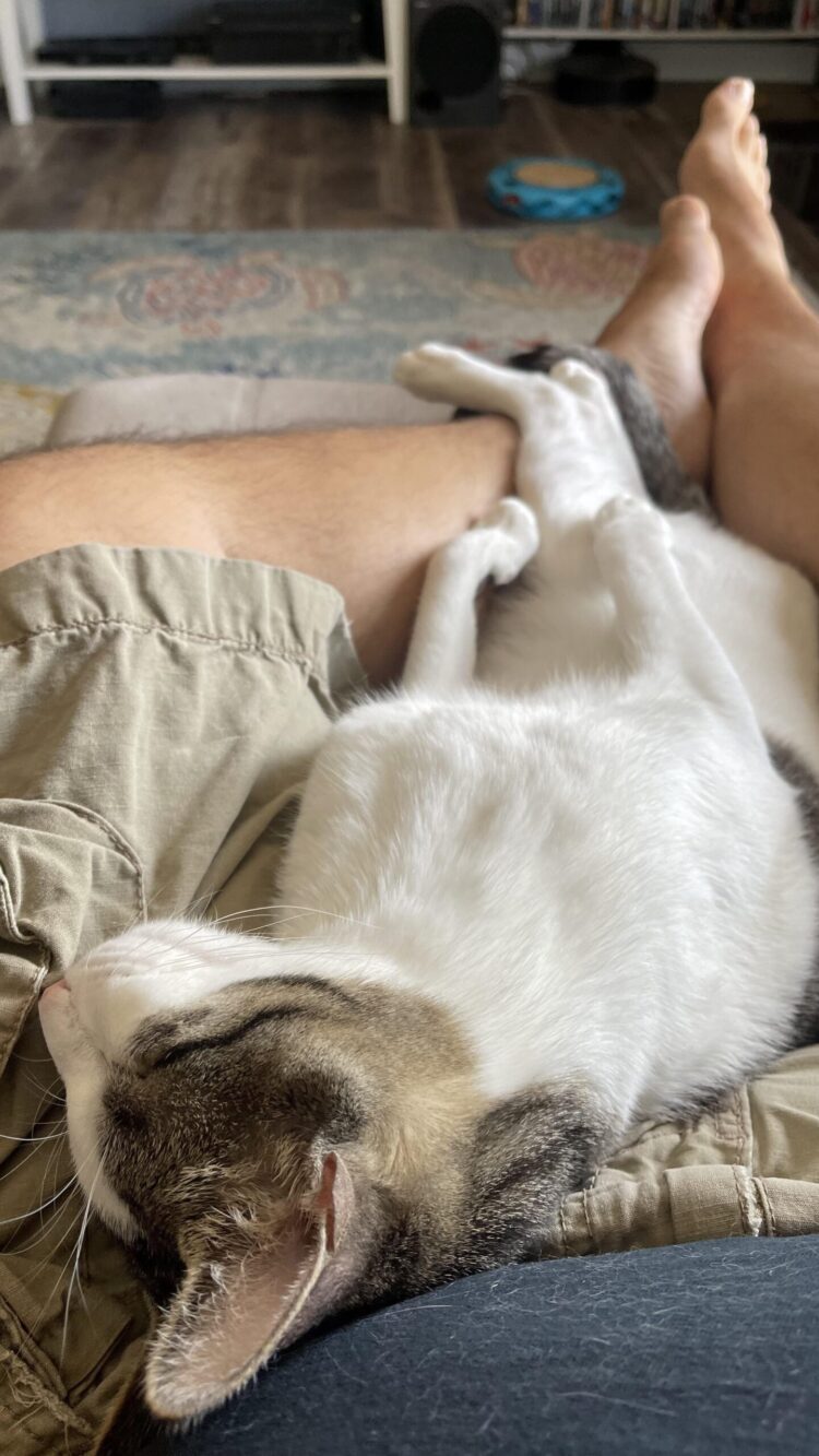 gibbster feet 5 scaled