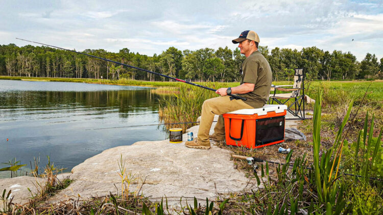 gill is trill feet 2