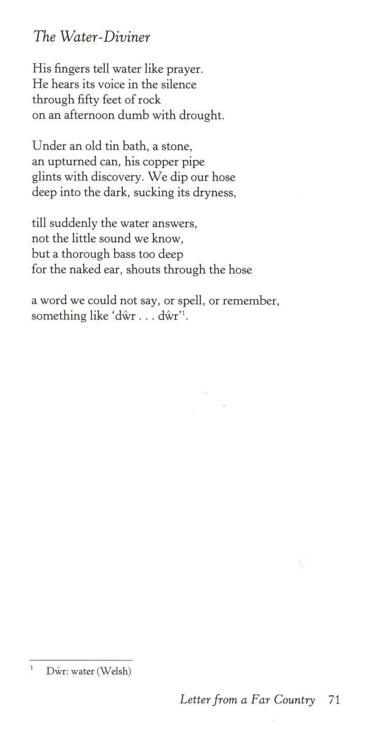 gillian clarke feet 5