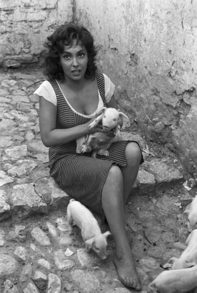 gina lollobrigida feet 5