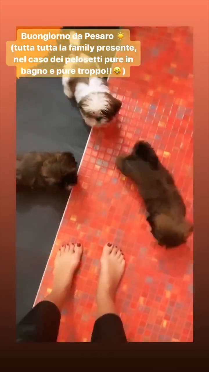 giorgia palmas feet 5