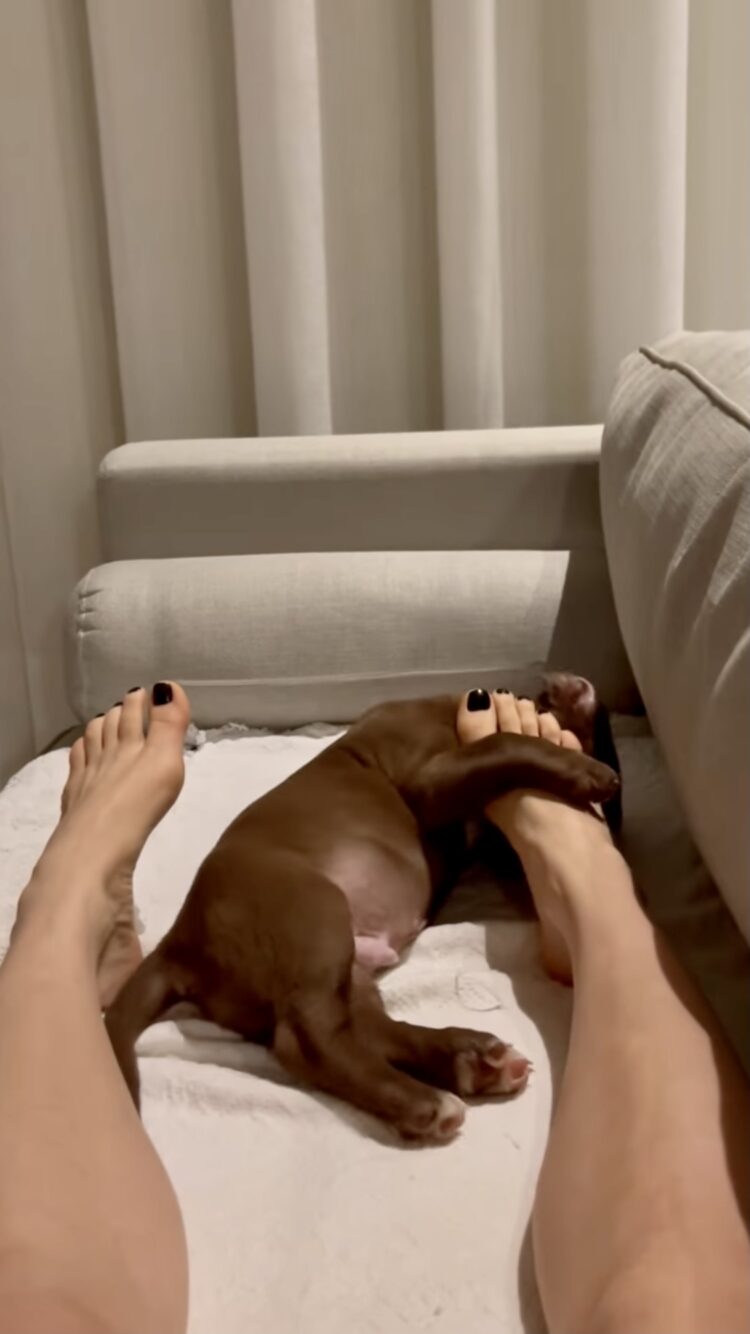 giovana camile feet 3