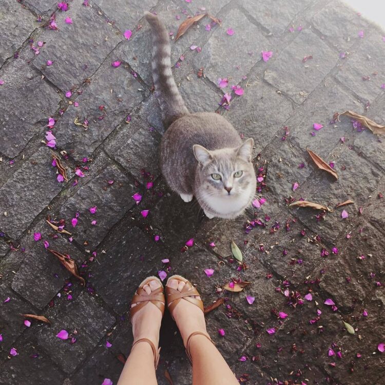 giovanna ferrarezi feet 5