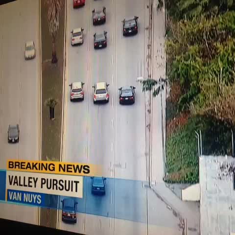 gisela margarita feet