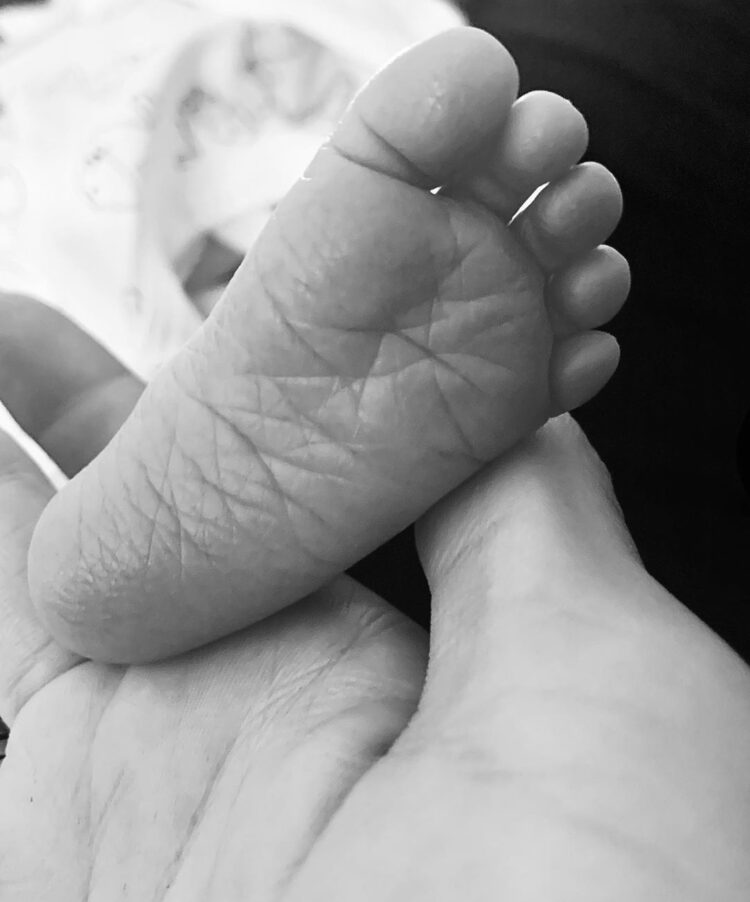 giulia provvedi feet