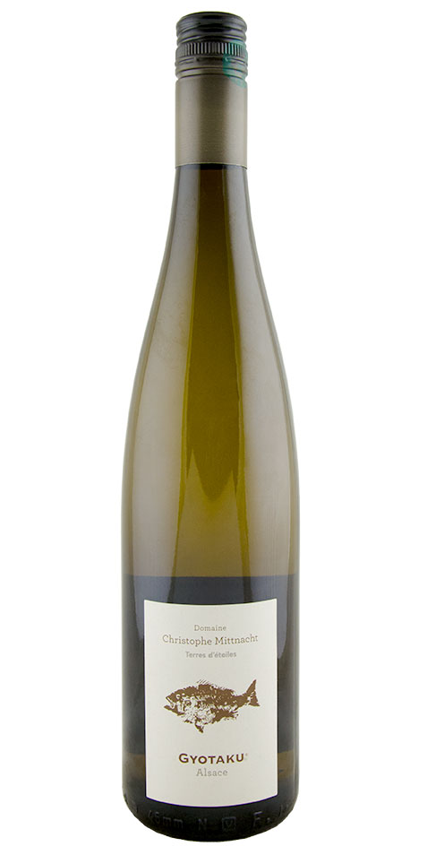 gloria giacosa feet 5