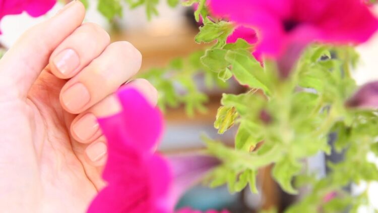 gorkem karman feet 4