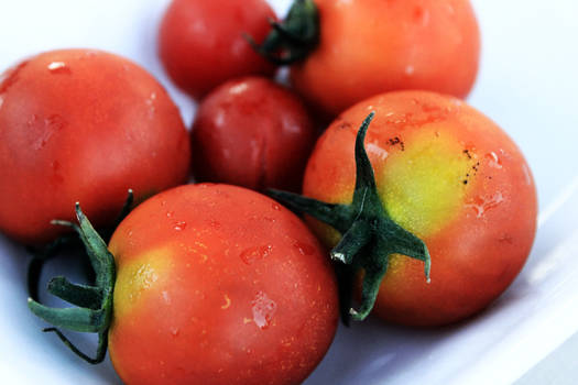 gorkem karman feet 5