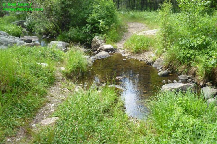 grace coolidge feet 5