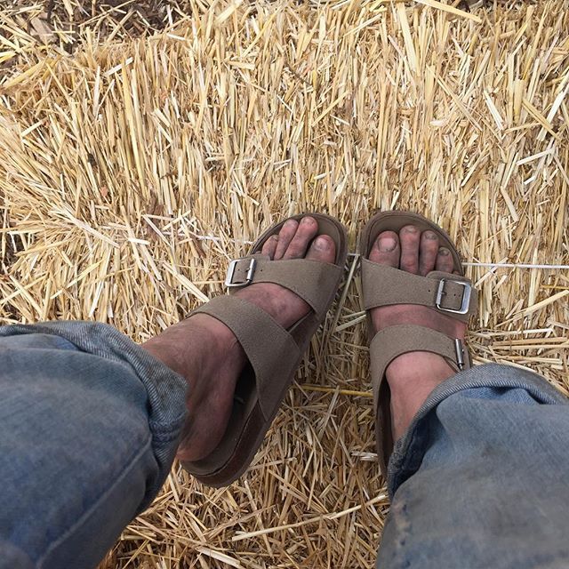 grace victoria cox feet 1