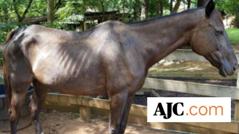 gracie bentley feet 6