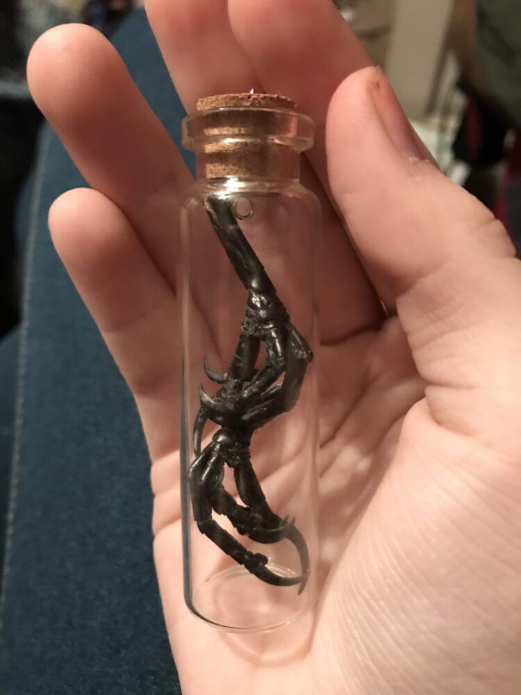 grackle feet 4 scaled