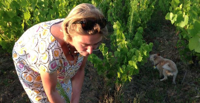 grasielle belotti feet 4