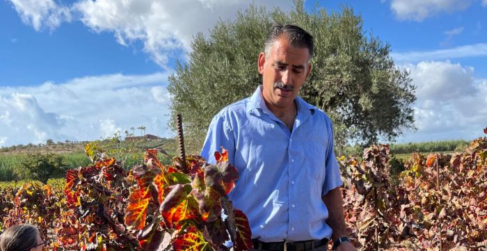 grasielle belotti feet 5