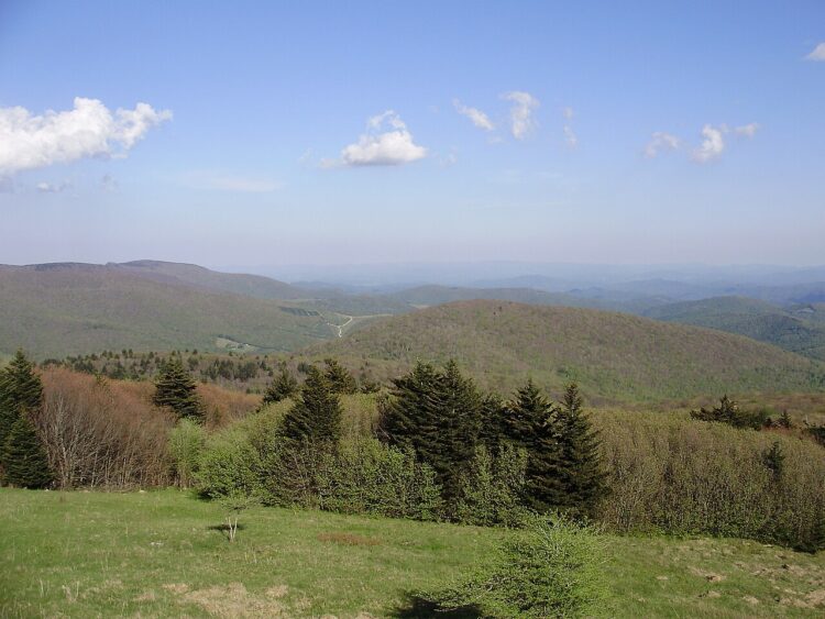 graysan rogers feet 4