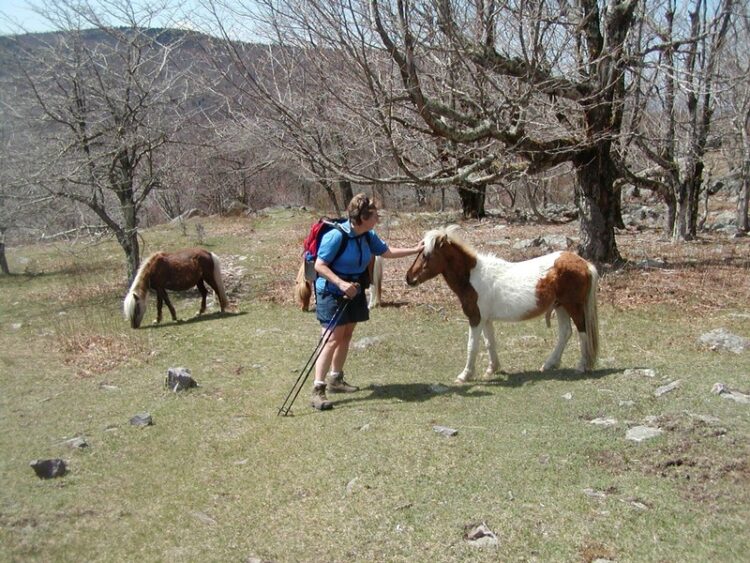 grayson maples feet 4