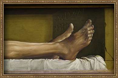 graziella concas feet 5