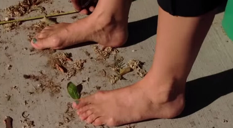griffon ramsey feet 5