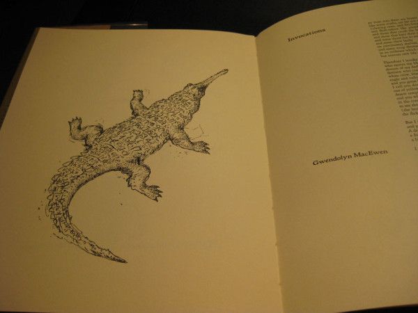 gwendolyn macewan feet 5