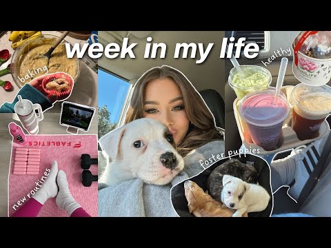 hailie barber feet 4