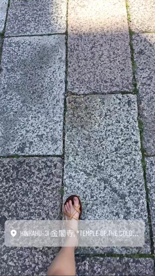 haley gauthier feet 5