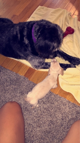 haley schmidt feet 2