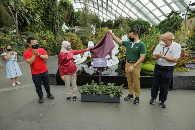 halimah yacob feet 1