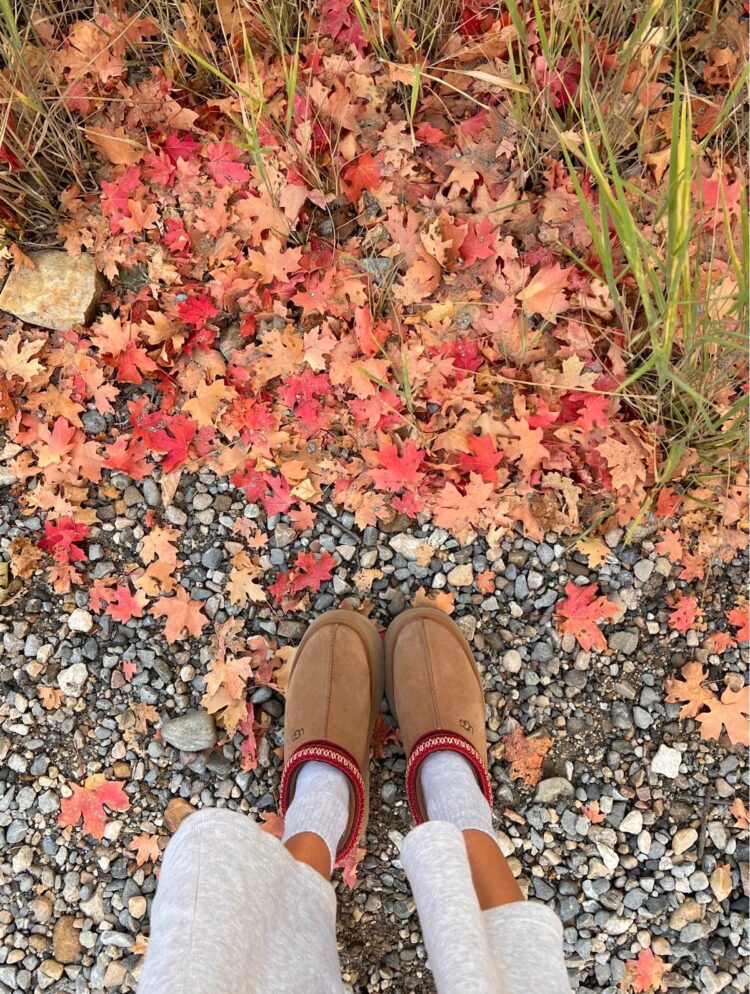 halle sandberg feet 5