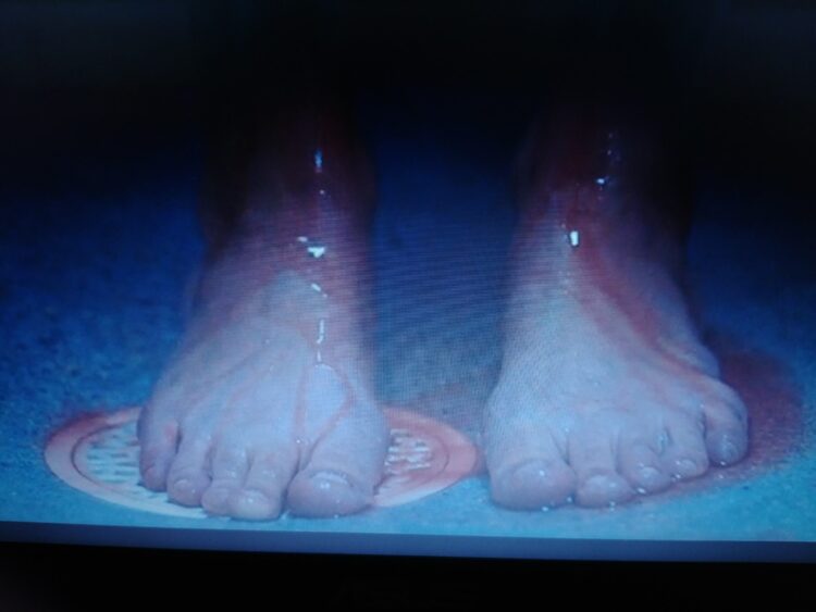 hanna ardehn feet 2 scaled